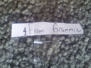 from grammy